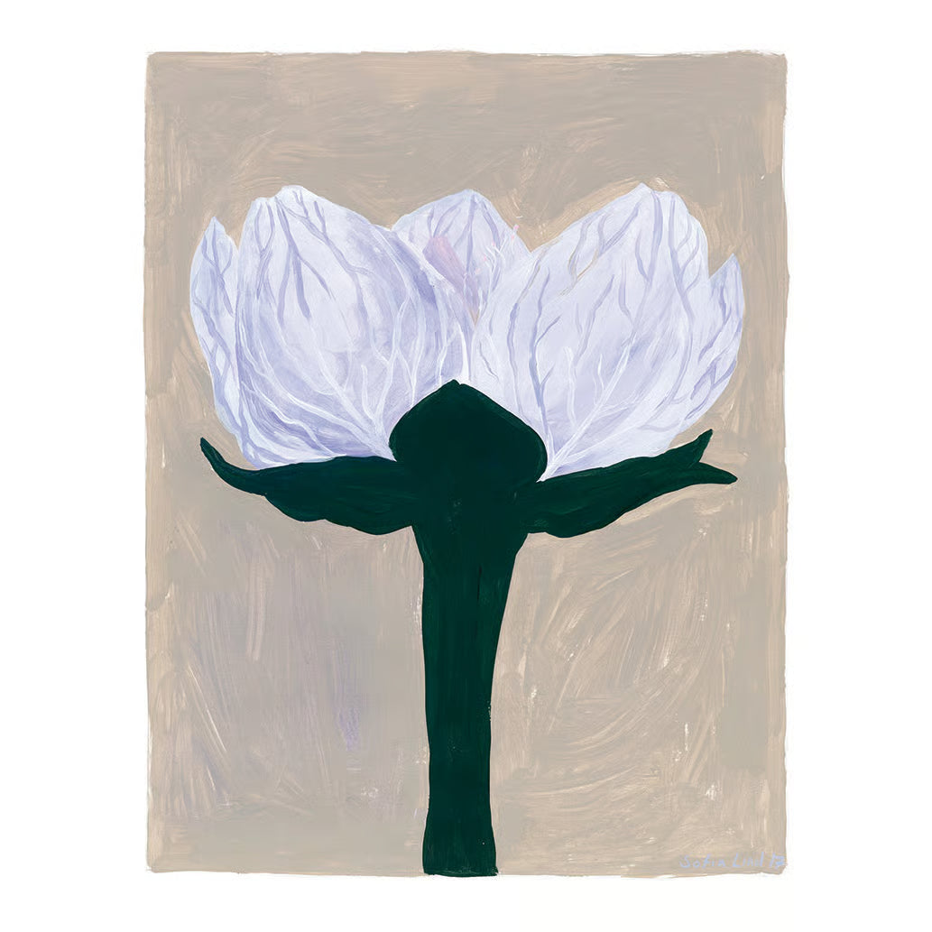 Slåtterblomma Poster mit botanischem Pflanzenmotiv